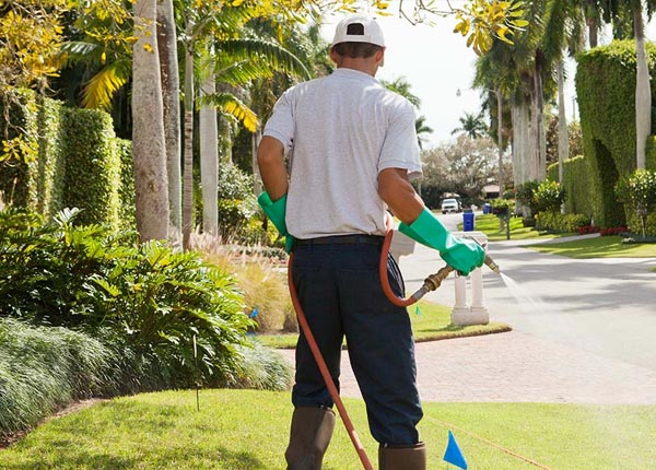 About Arlington MA Pest Control Pros